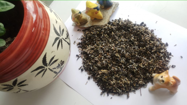 Lavender Tea- Tin Caddie of 100g